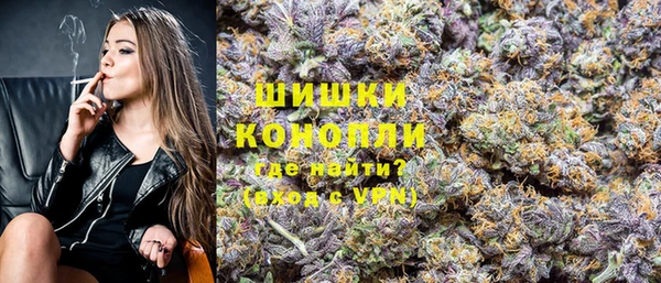 сатива Баксан