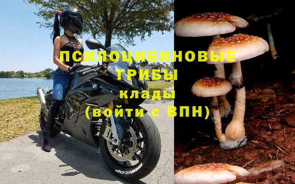 сатива Баксан