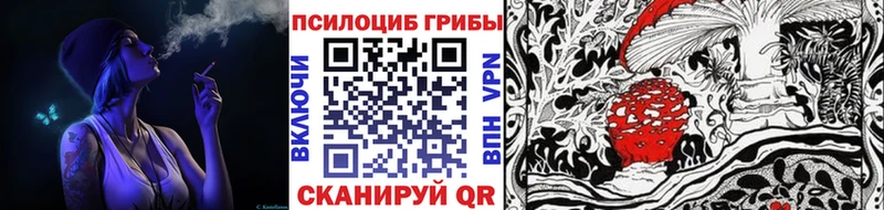 Псилоцибиновые грибы MAGIC MUSHROOMS  Купить где  Елизово 